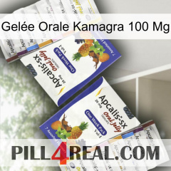 Gelée Orale Kamagra 100 Mg 12